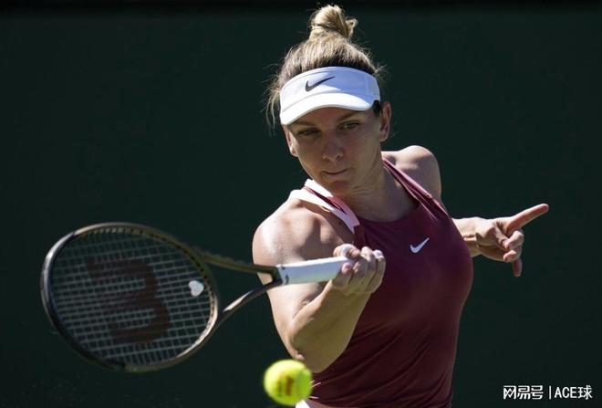 他们不仅能 他们不仅能